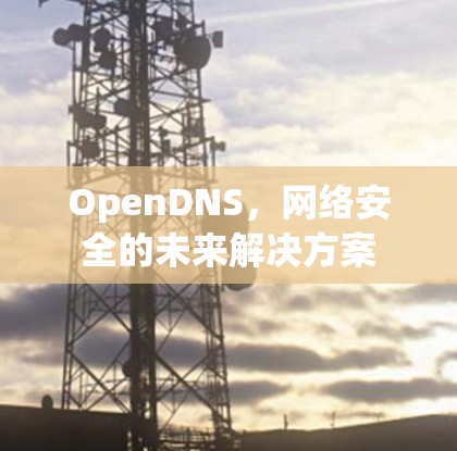 OpenDNS,网络安全的未来解决方案