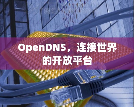 OpenDNS，连接世界的开放平台