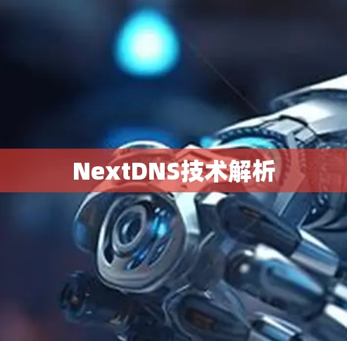 NextDNS技术解析