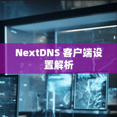 NextDNS 客户端设置解析