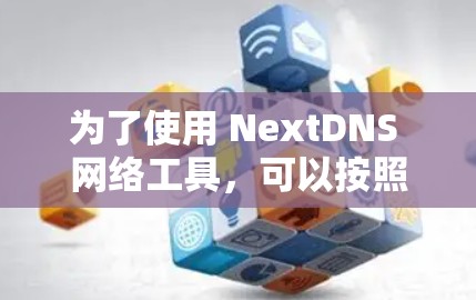 为了使用 NextDNS 网络工具，可以按照以下步骤进行