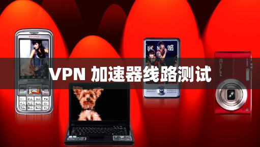 VPN 加速器线路测试