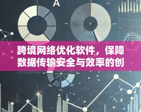 跨境网络优化软件,保障数据传输安全与效率的创新解决方案