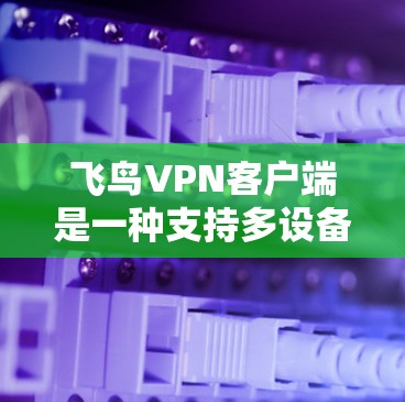 飞鸟VPN客户端是一种支持多设备使用的VPN应用,旨在提供安全、便捷的VPN服务。以下是关于飞鸟VPN客户端的一些关键信息