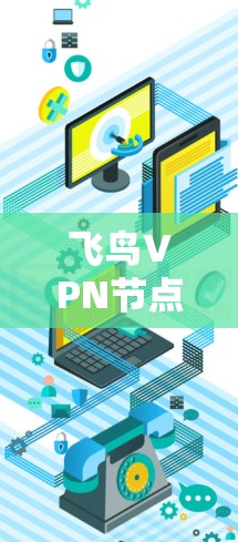 飞鸟VPN节点管理,保障网络安全的双刃剑