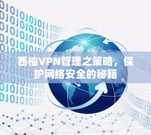 西柚VPN管理之策略，保护网络安全的秘籍