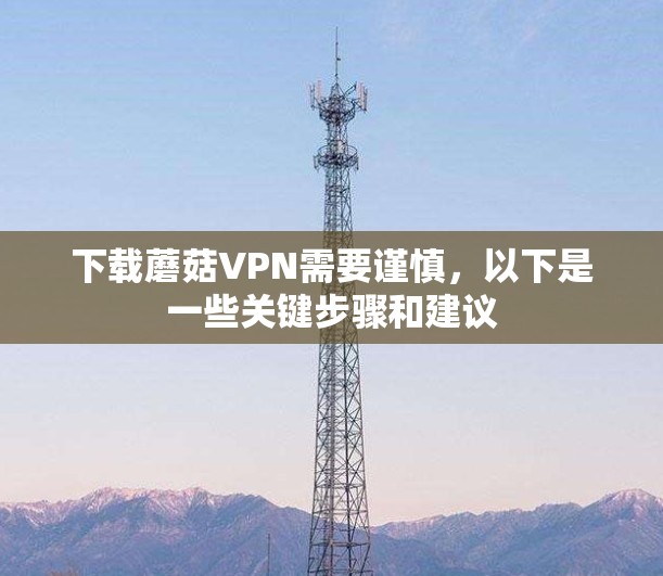 下载蘑菇VPN需要谨慎，以下是一些关键步骤和建议