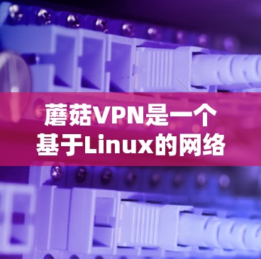 蘑菇VPN是一个基于Linux的网络VPN软件,适合对网络有一定熟悉度的用户使用。下面是安装和使用蘑菇VPN的教程
