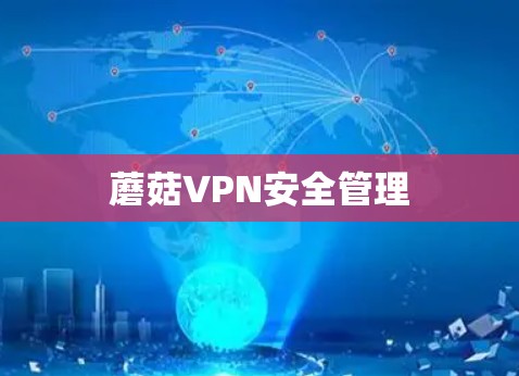 蘑菇VPN安全管理