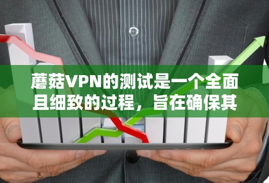 蘑菇VPN的测试是一个全面且细致的过程,旨在确保其网络的安全性和稳定性。以下是蘑菇VPN测试的主要步骤,帮助您全面评估其安全性和稳定性