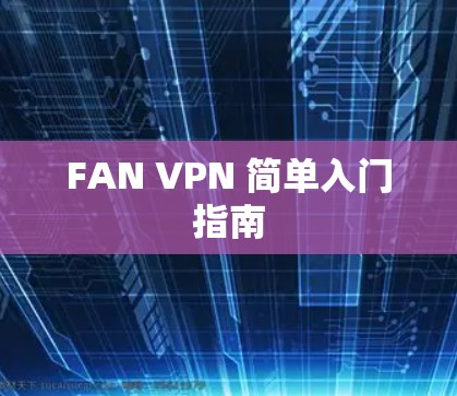 FAN VPN 简单入门指南