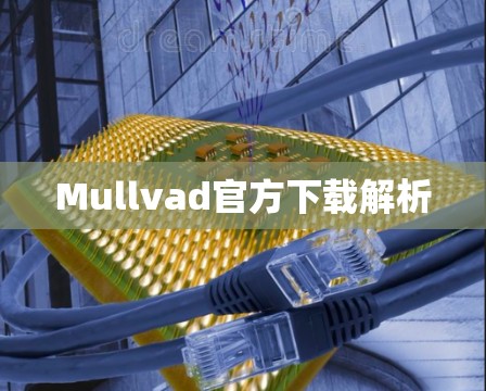 Mullvad官方下载解析