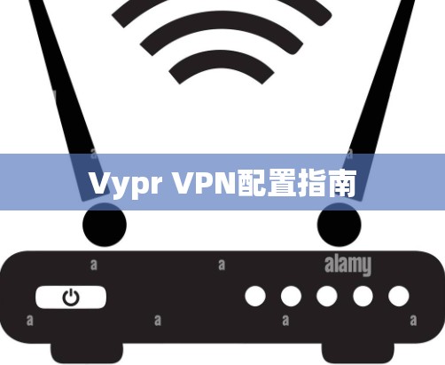 Vypr VPN配置指南