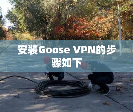安装Goose VPN的步骤如下