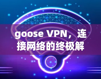 goose VPN，连接网络的终极解决方案