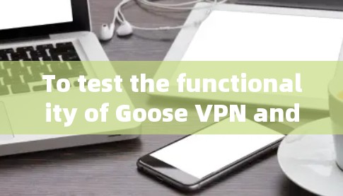 To test the functionality of Goose VPN and ensure it works correctly,follow these organized steps: