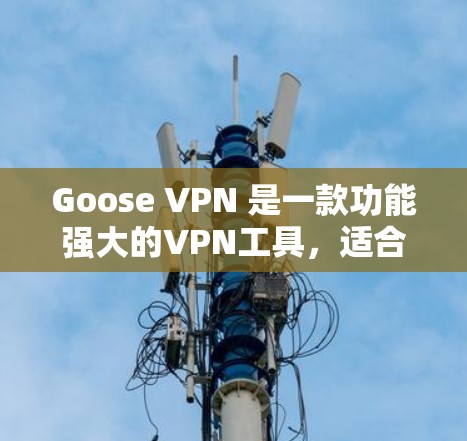 Goose VPN 是一款功能强大的VPN工具，适合个人用户、企业用户或家庭用户。下面是一个使用Goose VPN 的指南，帮助你轻松上手