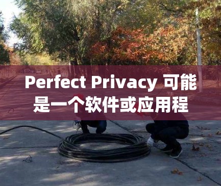 Perfect Privacy 可能是一个软件或应用程序,具体信息可能因版本而异。如果你想要下载,建议您先确认 Perfect Privacy 的具体功能和用途,以便获取更准确的信息 Perfect Privacy 可能是一个软件或应用程序,具体信息可能因版本而异。如果你想要下载,建议您先确认 Perfect Privacy 的具体功能和用途,以便获取更准确的信息