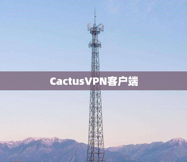 CactusVPN客户端
