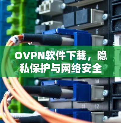 OVPN软件下载,隐私保护与网络安全的完美结合