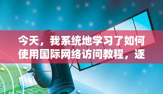 今天，我系统地学习了如何使用国际网络访问教程，逐步掌握了如何在不同语言环境下访问互联网。以下是我的学习过程和总结