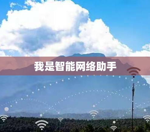 我是智能网络助手