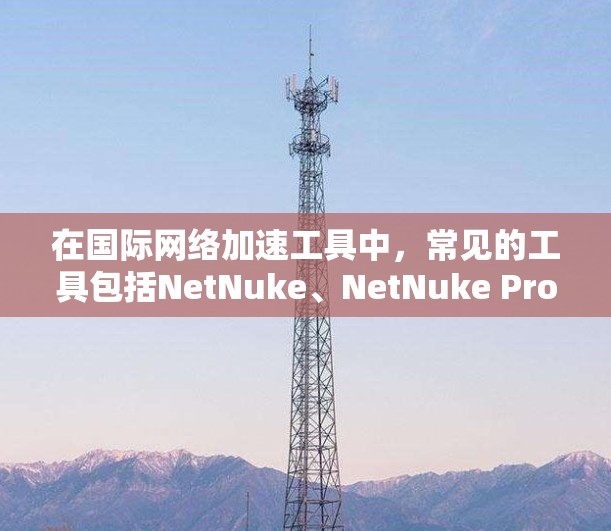在国际网络加速工具中,常见的工具包括NetNuke、NetNuke Pro和NetNuke Free等。以下是这些工具的详细介绍和如何下载的建议