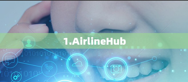1.AirlineHub