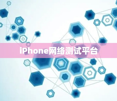 iPhone网络测试平台 iPhone网络测试平台
