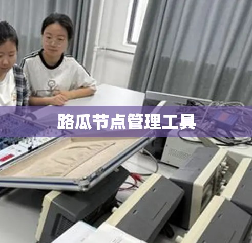 路瓜节点管理工具