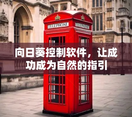 向日葵控制软件,让成功成为自然的指引