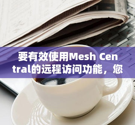 要有效使用Mesh Central的远程访问功能，您可以按照以下步骤进行