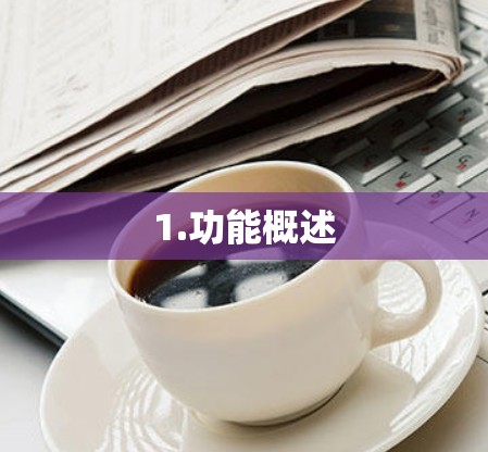 1.功能概述 1.功能概述
