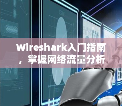 Wireshark入门指南，掌握网络流量分析与可视化技能