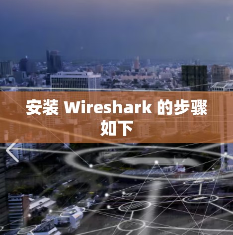 安装 Wireshark 的步骤如下
