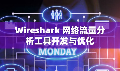 Wireshark 网络流量分析工具开发与优化