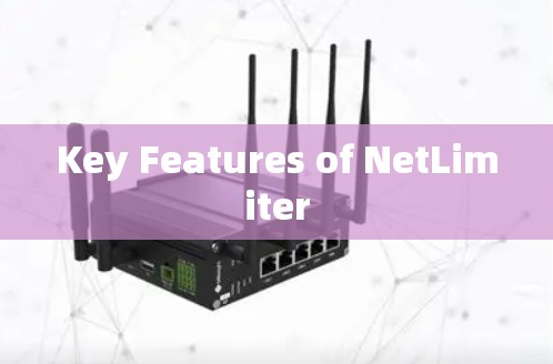 Key Features of NetLimiter