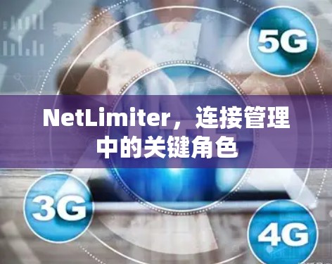 NetLimiter,连接管理中的关键角色