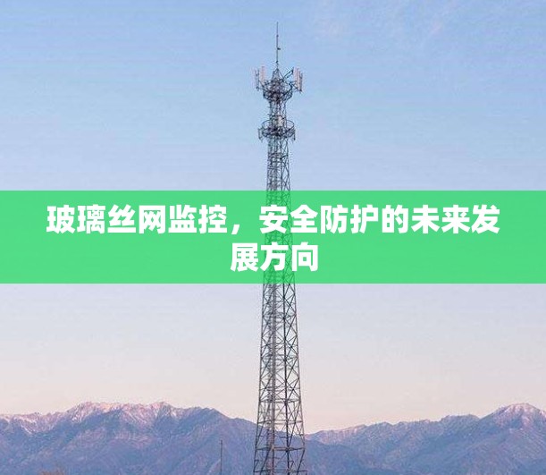 玻璃丝网监控,安全防护的未来发展方向