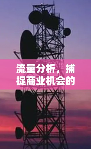 流量分析,捕捉商业机会的玻璃之镜