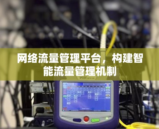 网络流量管理平台，构建智能流量管理机制