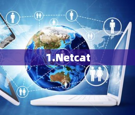 1.Netcat