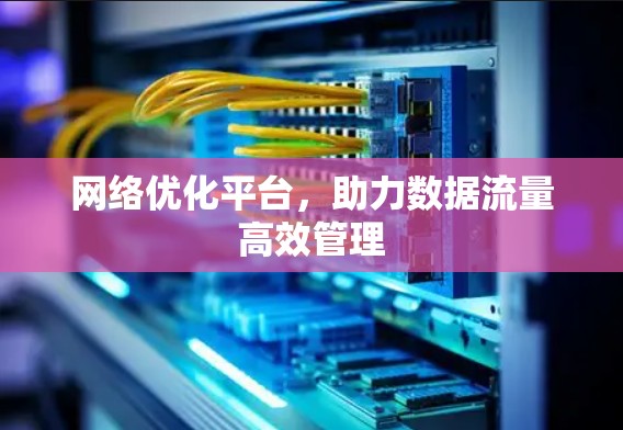 网络优化平台,助力数据流量高效管理