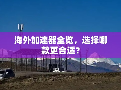 海外加速器全览,选择哪款更合适? 海外加速器全览,选择哪款更合适?