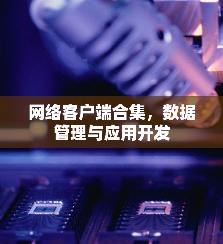 网络客户端合集,数据管理与应用开发 网络客户端合集,数据管理与应用开发