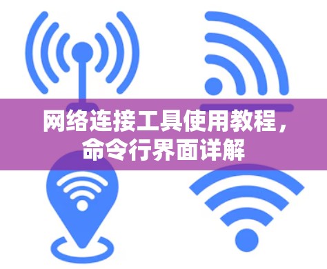 网络连接工具使用教程，命令行界面详解