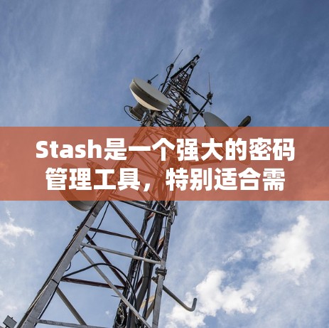 Stash是一个强大的密码管理工具,特别适合需要加密和解密文件的用户。以下是使用Stash的简要步骤和总结