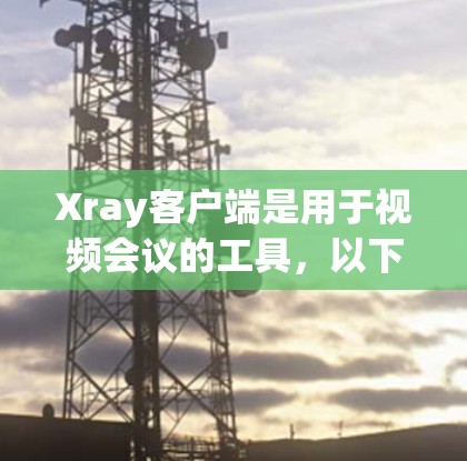 Xray客户端是用于视频会议的工具，以下是一些常见的配置选项和设置指南