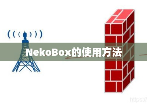 NekoBox的使用方法