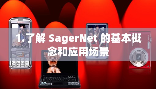 1.了解 SagerNet 的基本概念和应用场景
